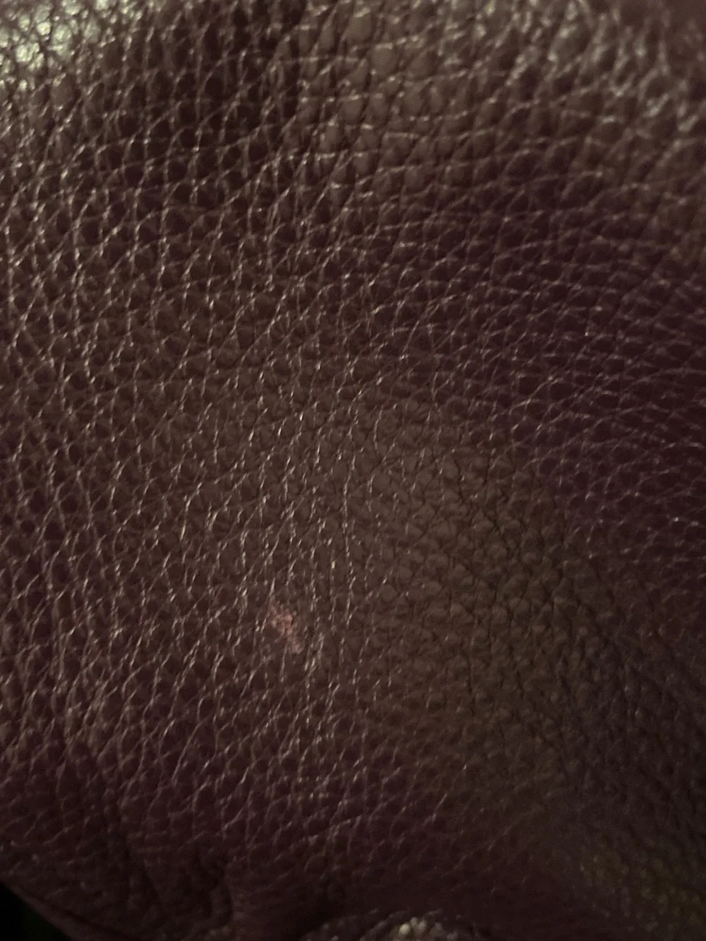 Coach Pebbled Leather Shoulder Bag in Plum with Gold Hardware